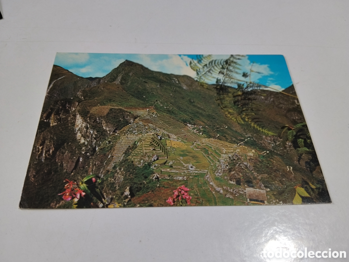 Postales: Postal Cuzco Per&uacute; Ruinas Pisac - Foto 1