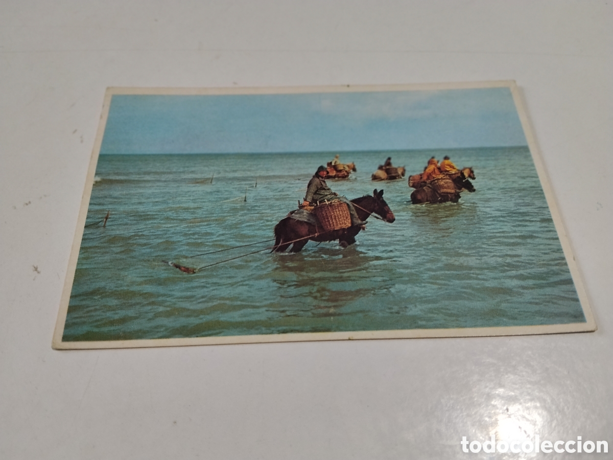 Postales: Postal Pescadores de gambas P&ecirc;cheues de crevettes