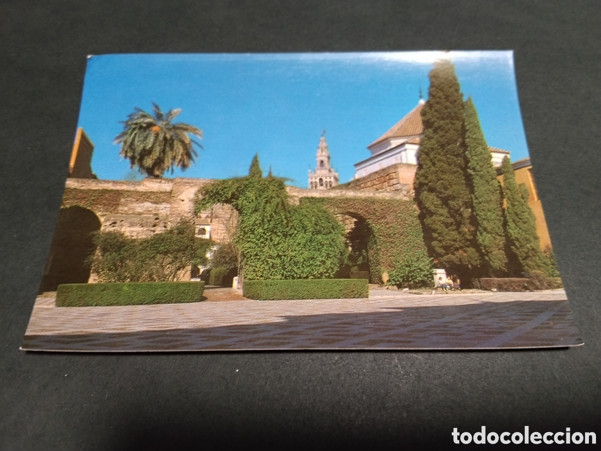 Postales: Postal Sevilla Muralla vieja romana vista desde el patio de la Monteria