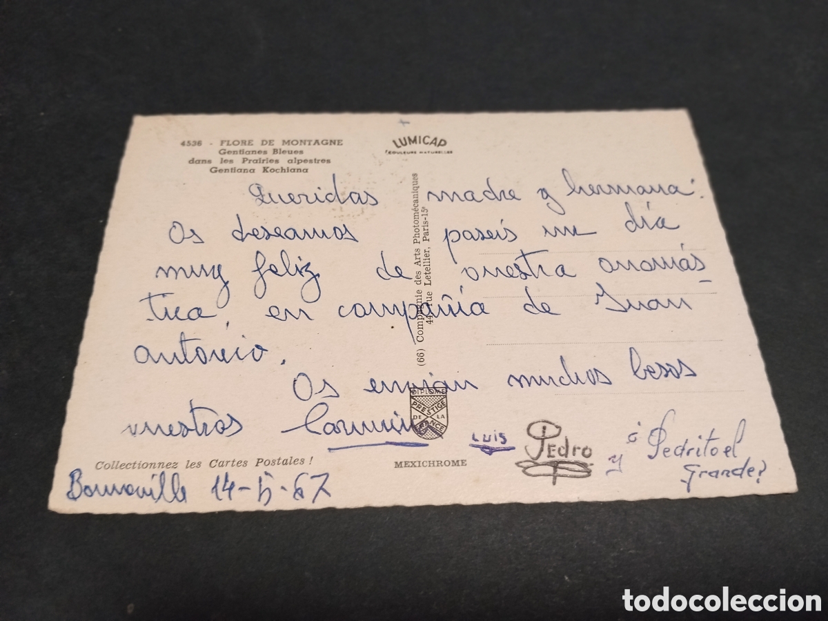 Postales: Postal Flore De Mintagne - Foto 2