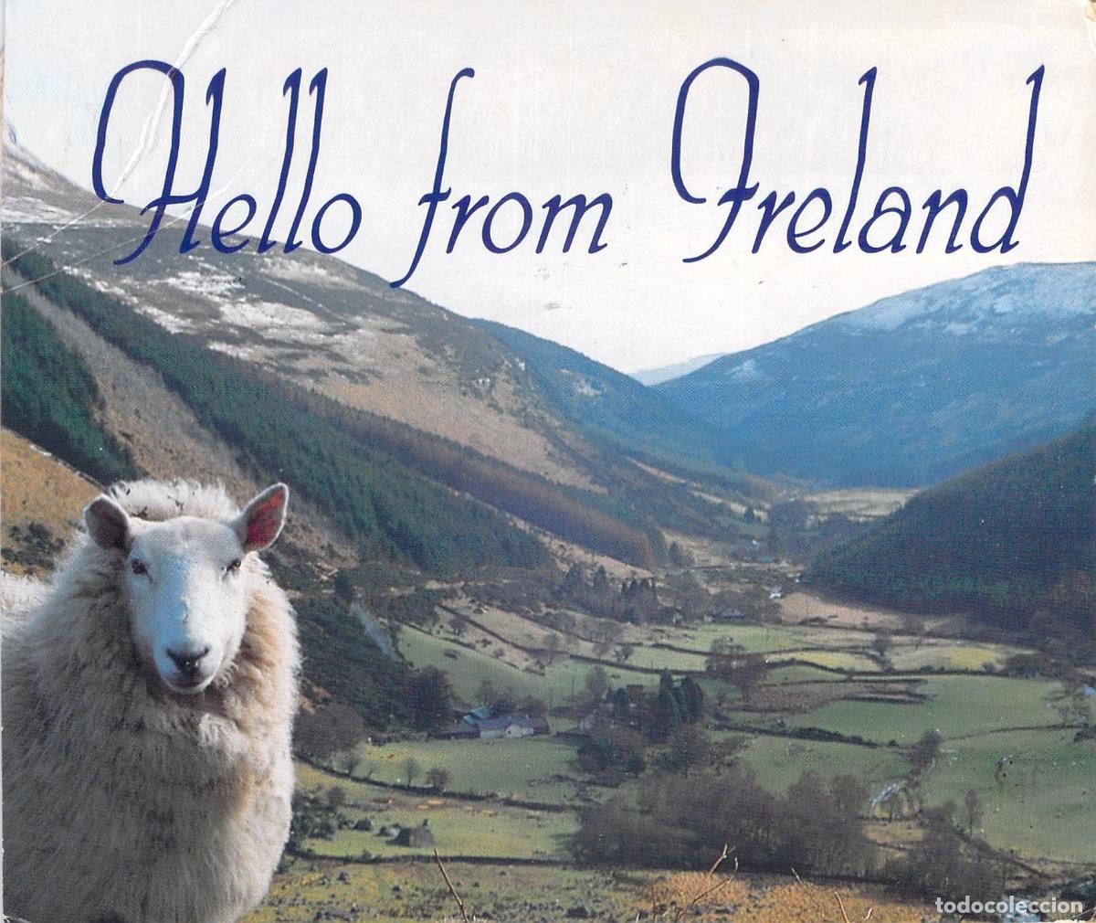 Postales: Postal Hello from Ireland con Oveja en el Valle - Foto 1