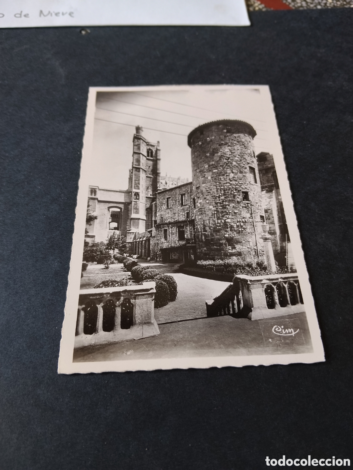 Postales: Postal Narbonne (Aude) - Jard&iacute;n du Mus&eacute;e - Foto 1