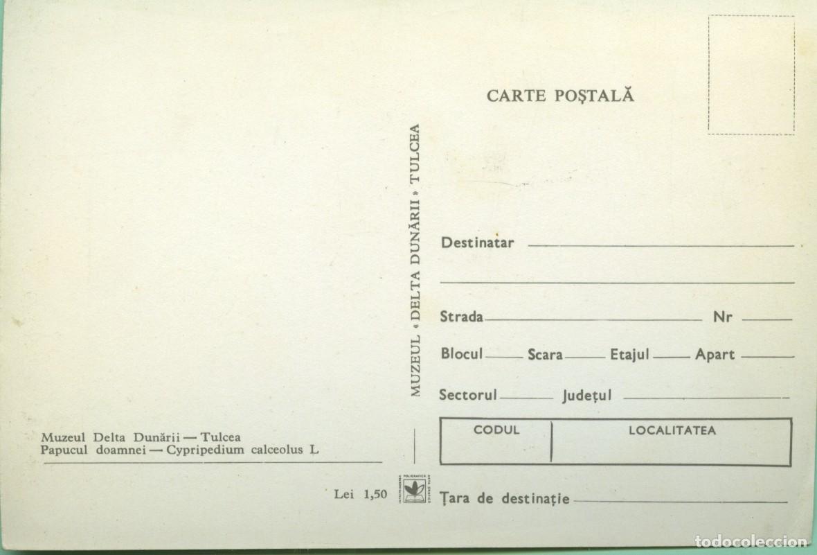Postales: Museo del delta del Danubio. Tulcea. Zapatilla de dama. Sin circular - Foto 2