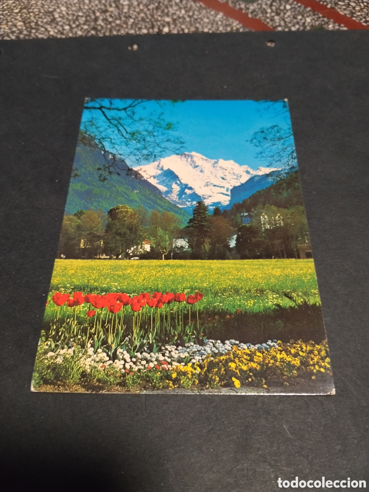Postales: Postal Schweiz Due Jungfrau 4158m