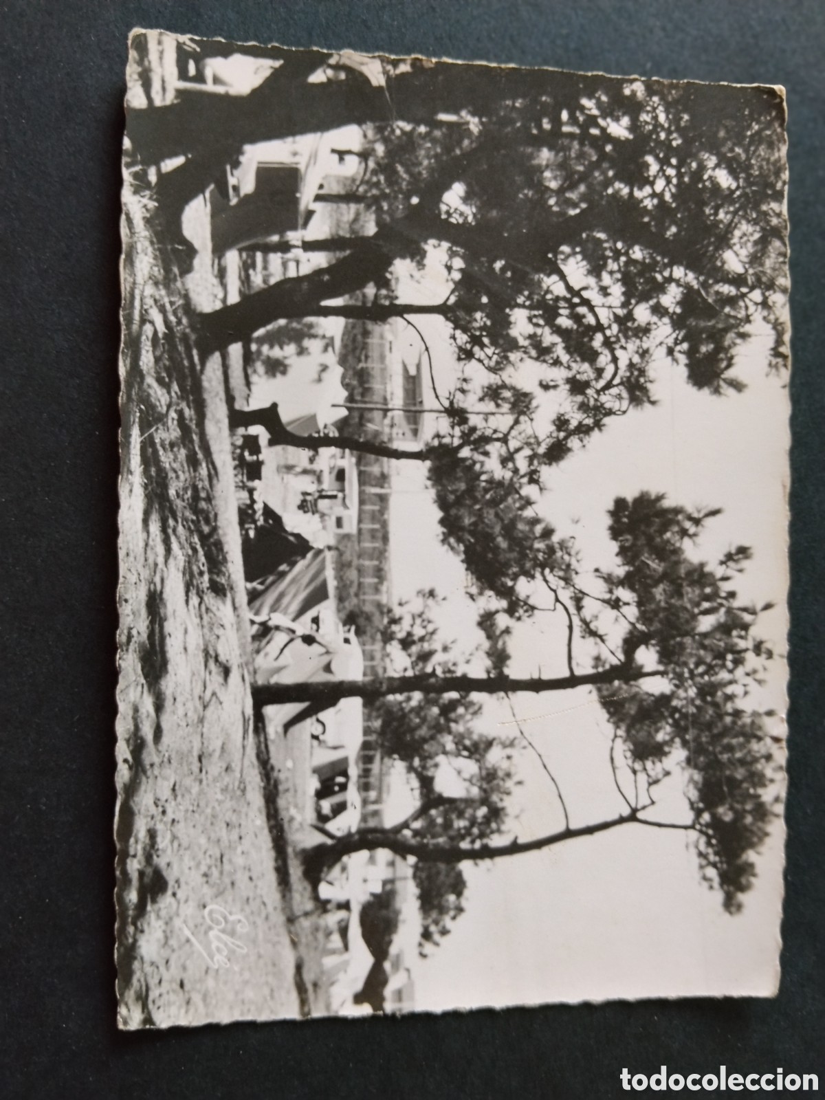 Postales: Postal Anglet (Basses-Pyr&eacute;n&eacute;es) Camping de la Barr La For&ecirc;t Au Fond , le Champ de Courses