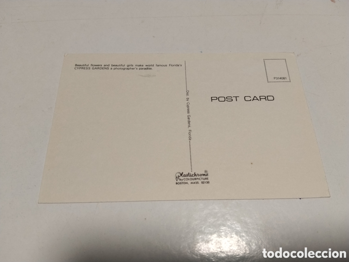 Postales: Postal Cypress gardens ...... - Foto 2