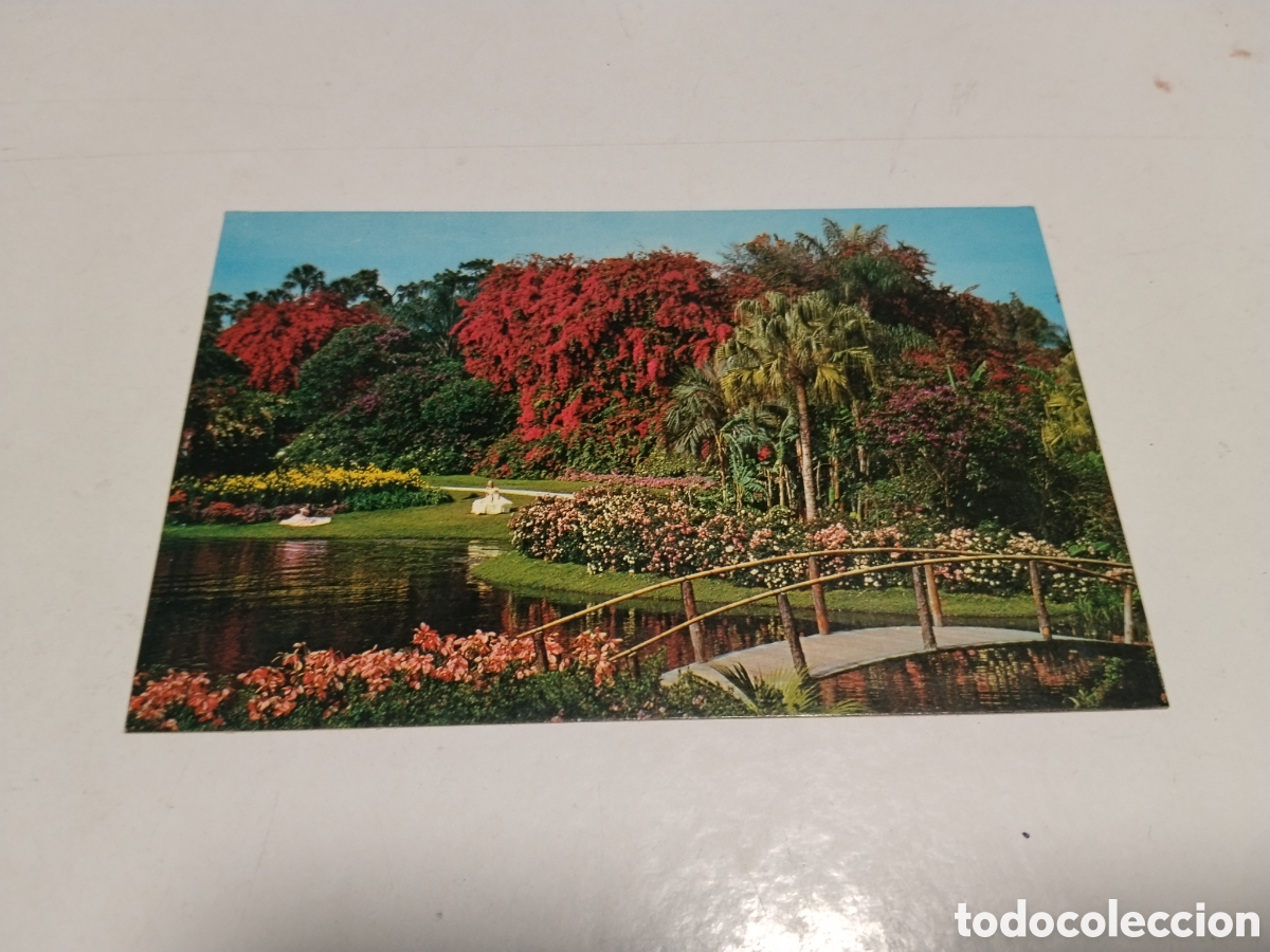 Postales: Postal Cypress gardens ...... - Foto 1