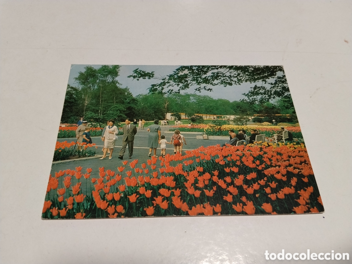 Postales: Postal Essen Farbenterrassen in der Gruga