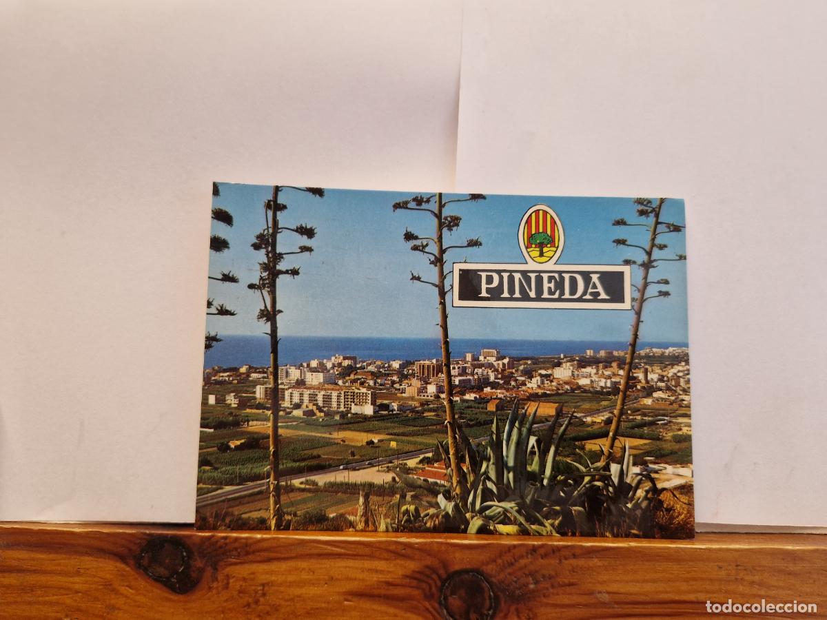Postales: BONITA POSTAL CIRCULADA. PINEDA - Foto 1