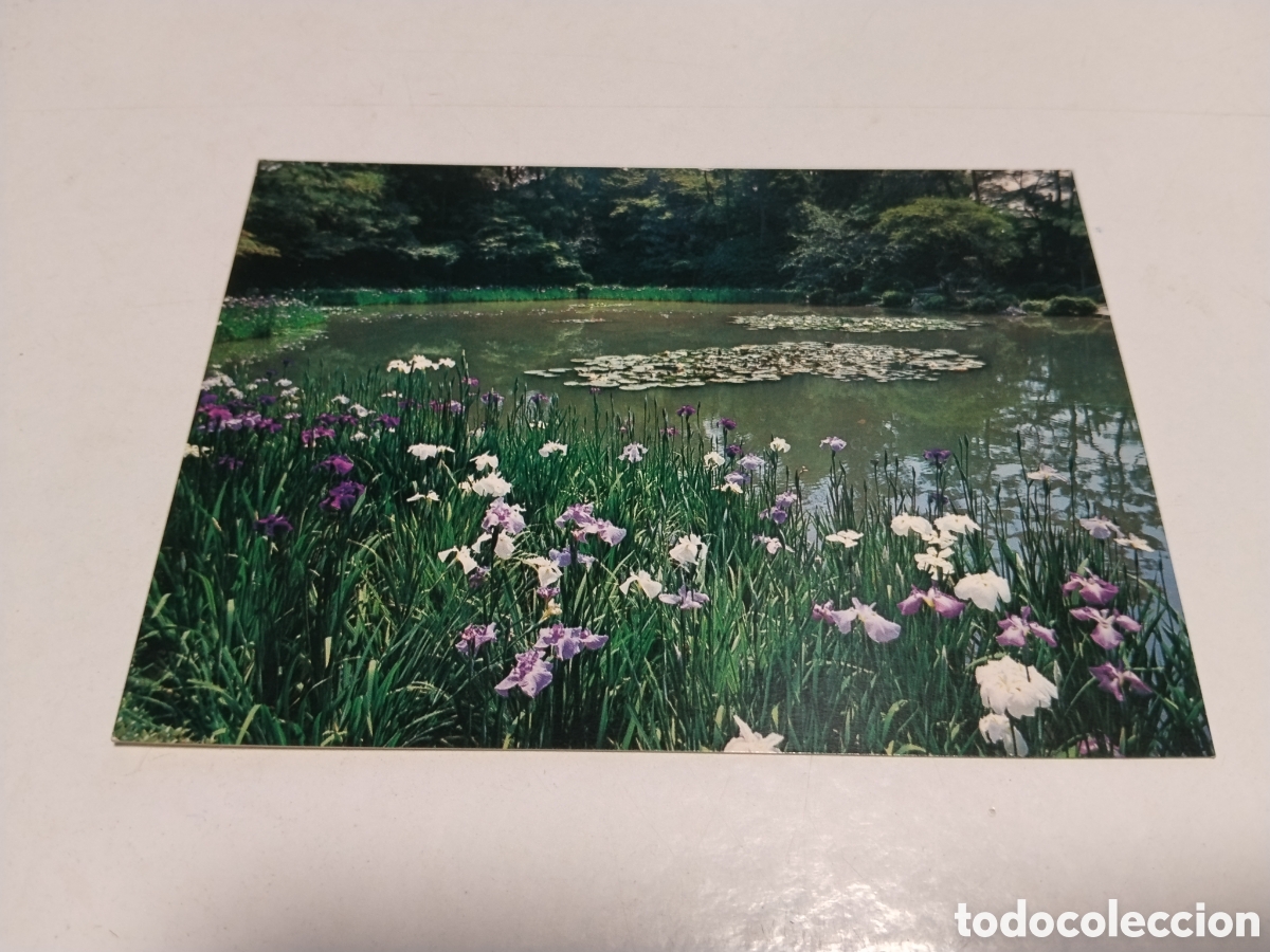 Postales: Postal The Garden The Heian Shrine