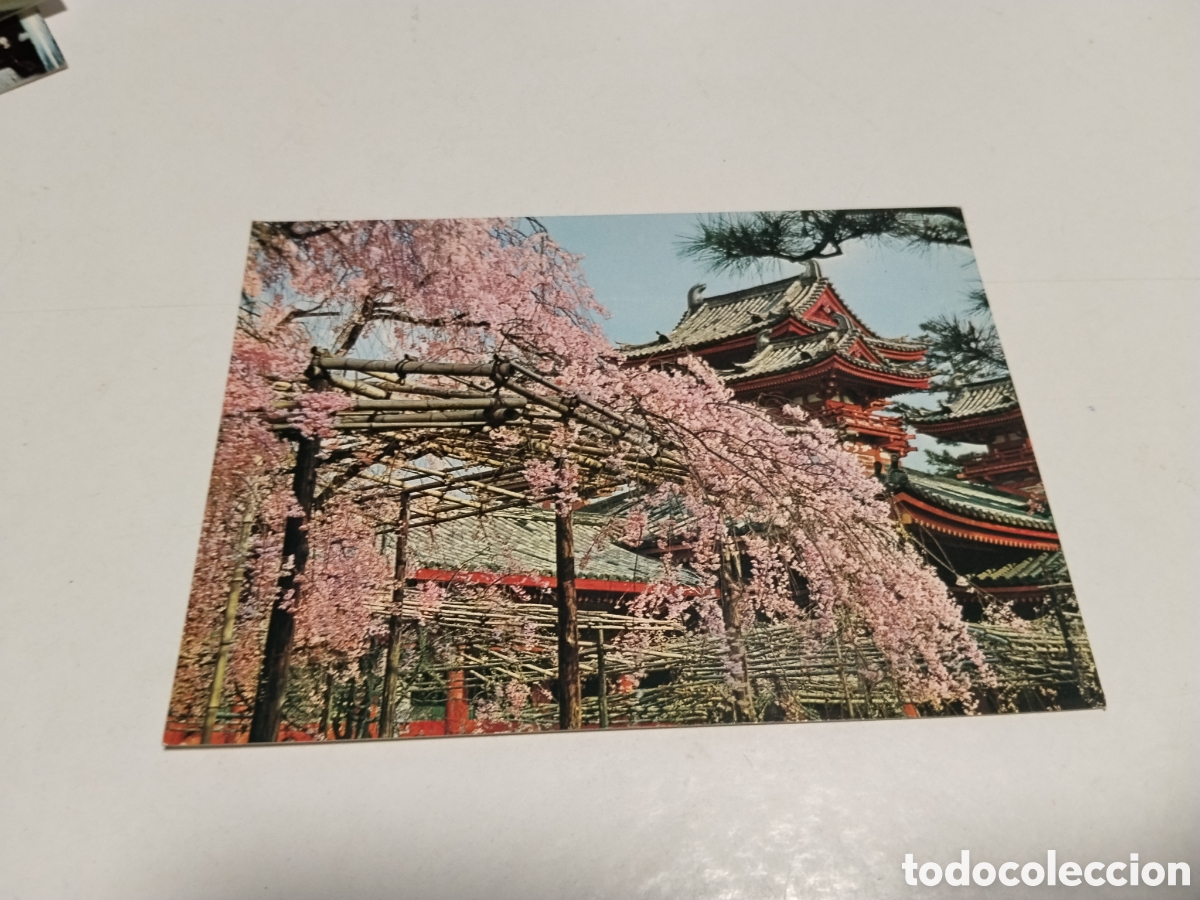 Postales: Postal The Cherry Blossoms , The Heian Shrine