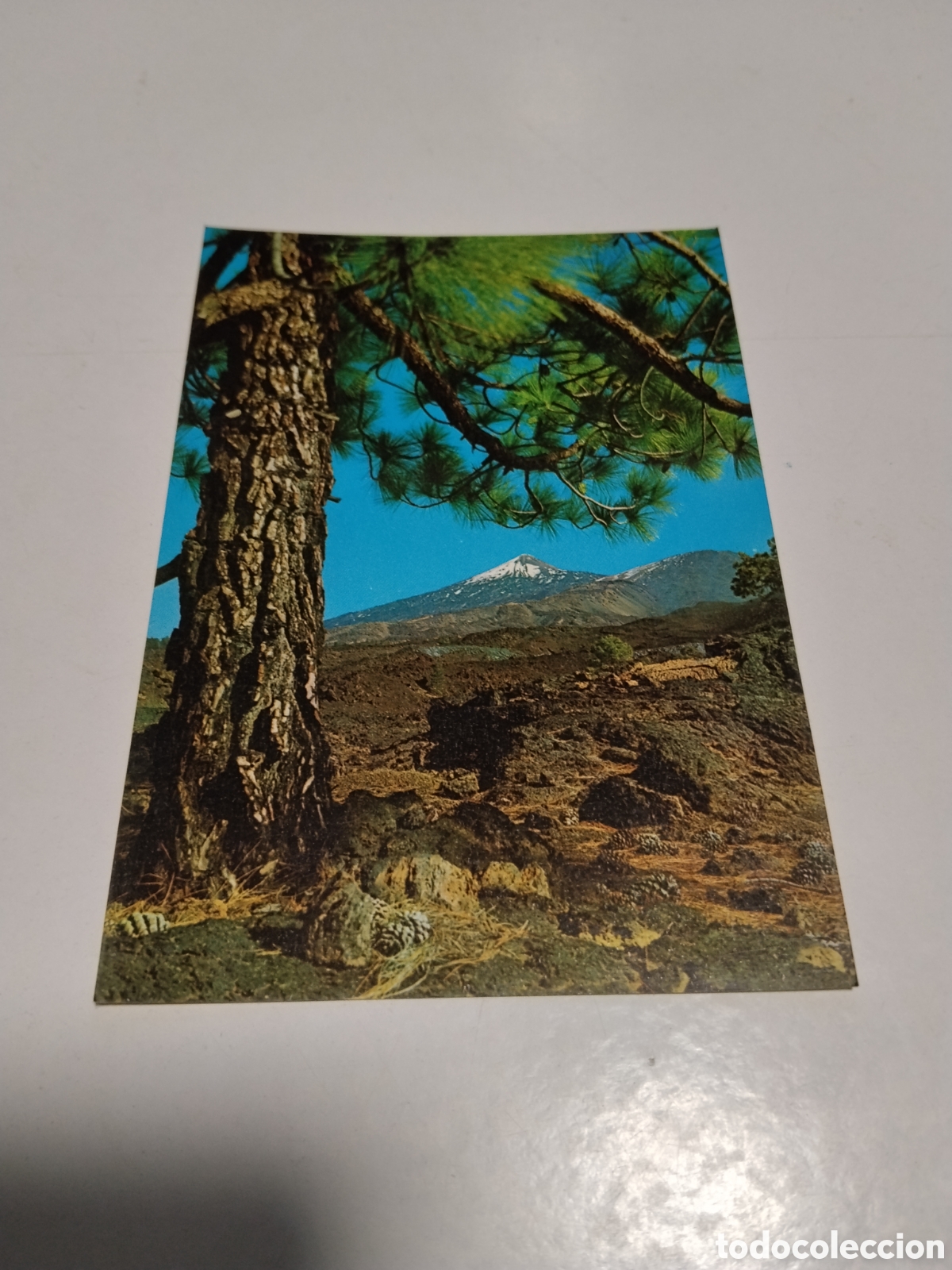 Postales: Postal Tenerife..... - Foto 1