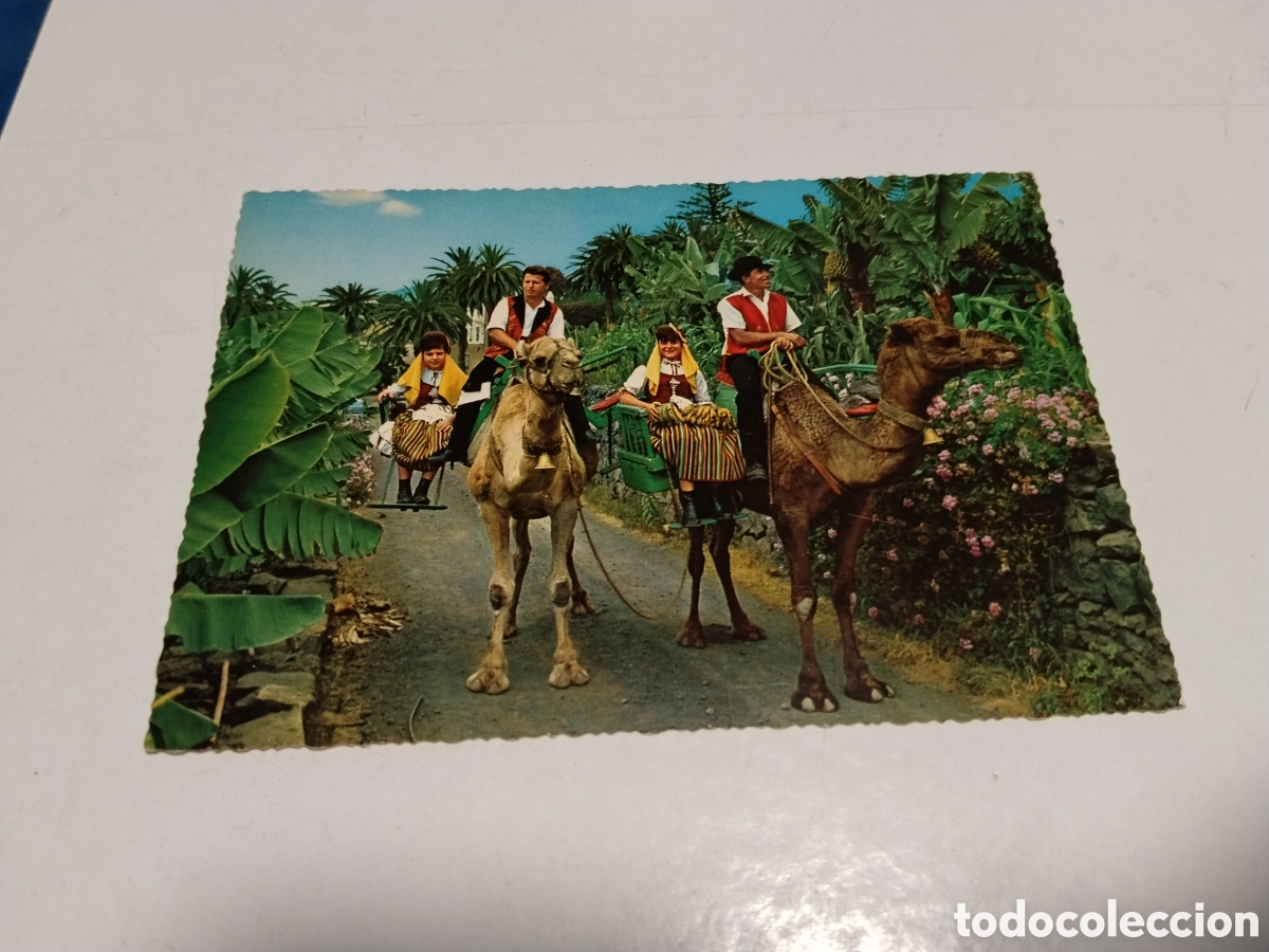 Postales: Postal Tenerife Plantaciones y Trajes Tipicos