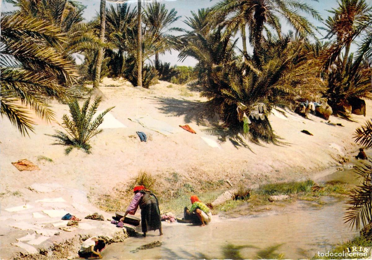 Postales: Postal de lavanderas en un oasis - Foto 1