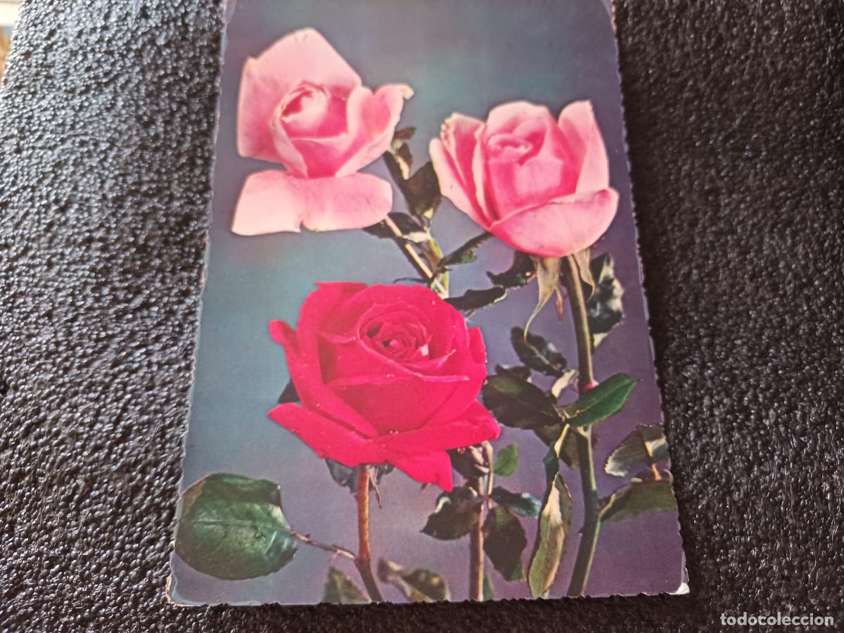 Postales: tres rosas, cecami 250, escrita 1958 - Foto 1