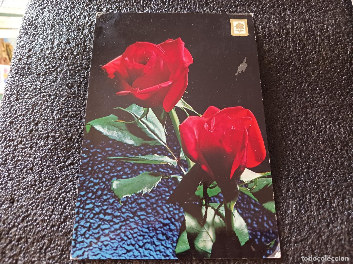 Postales: 149 coleccion flores, dos rosas, ed. escudo, circulada