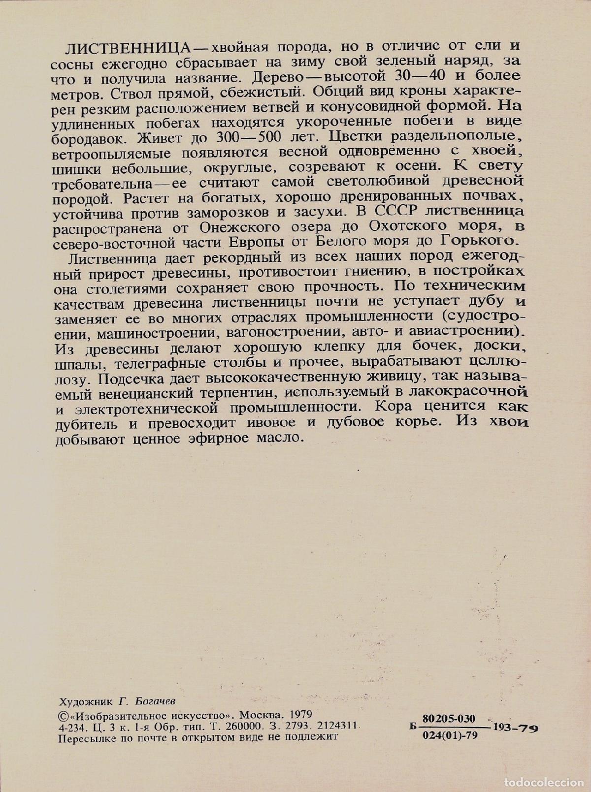 Postales: Postal educativa sobre el alerce, flora de la URSS - Foto 2