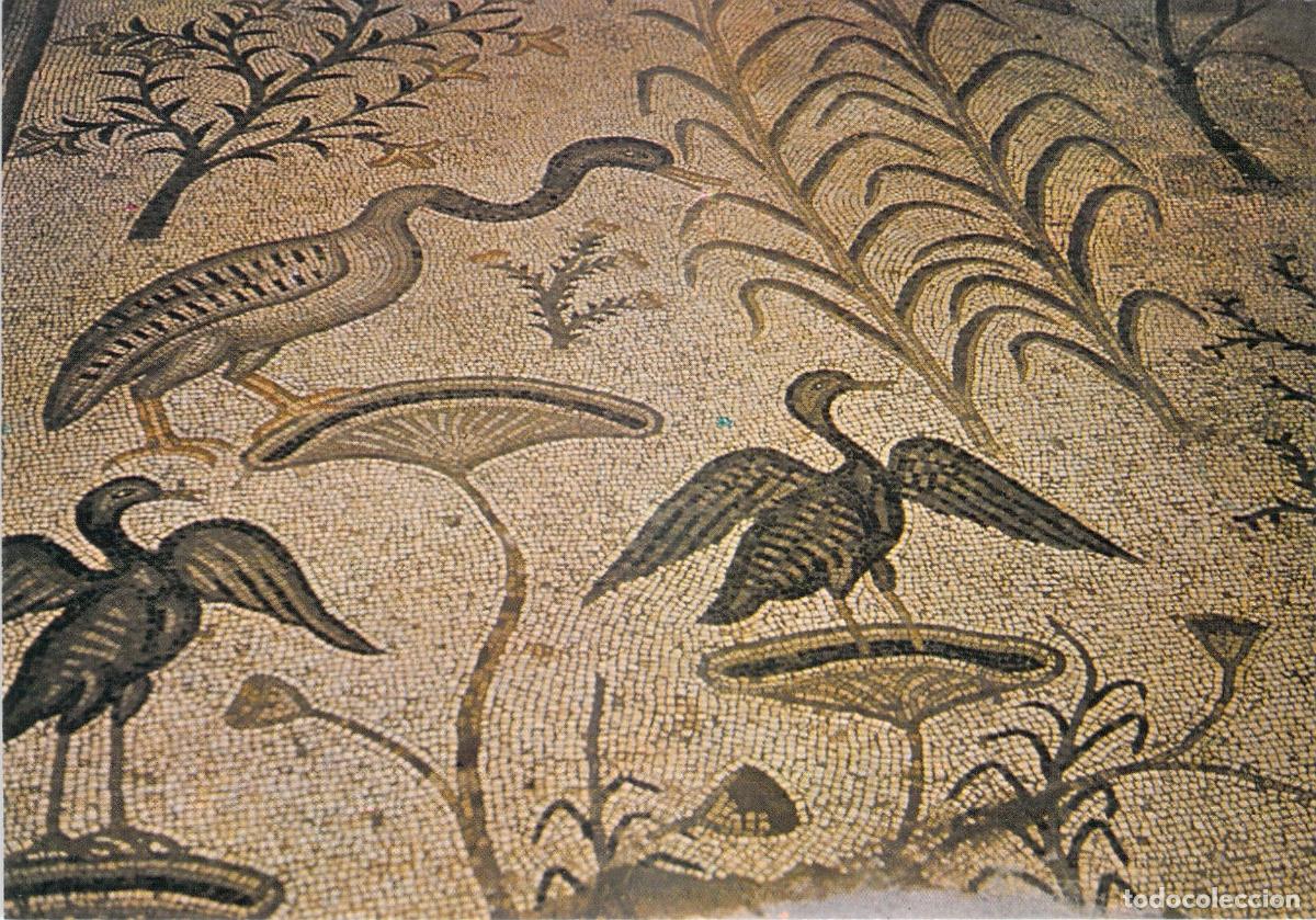 Postales: Postal de mosaico bizantino en la Iglesia de la Multiplicaci&oacute;n, Tabgha