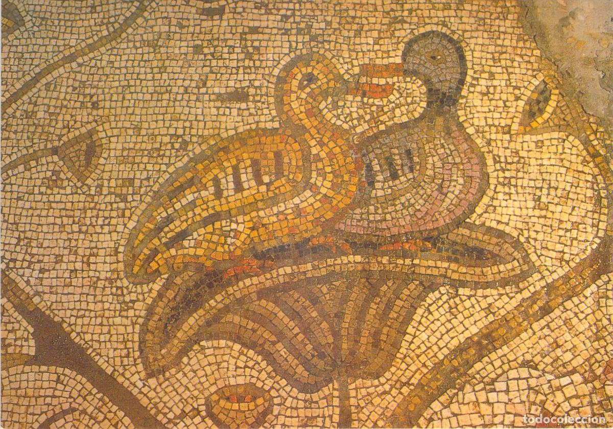 Postales: Postal de mosaico bizantino en la Iglesia de la Multiplicaci&oacute;n, Tabgha
