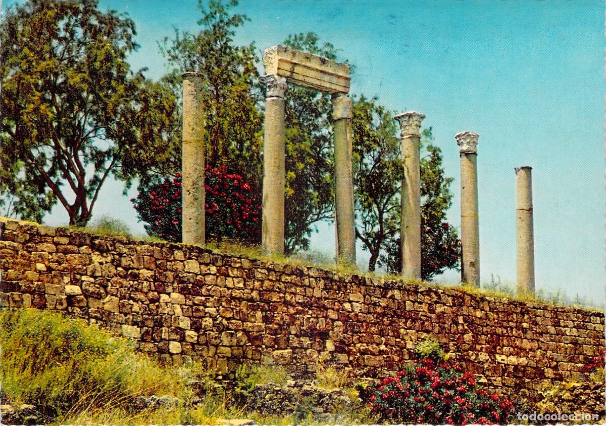 Postales: Postal de las Columnas Greco-Romanas en Biblos, L&iacute;bano - Foto 1