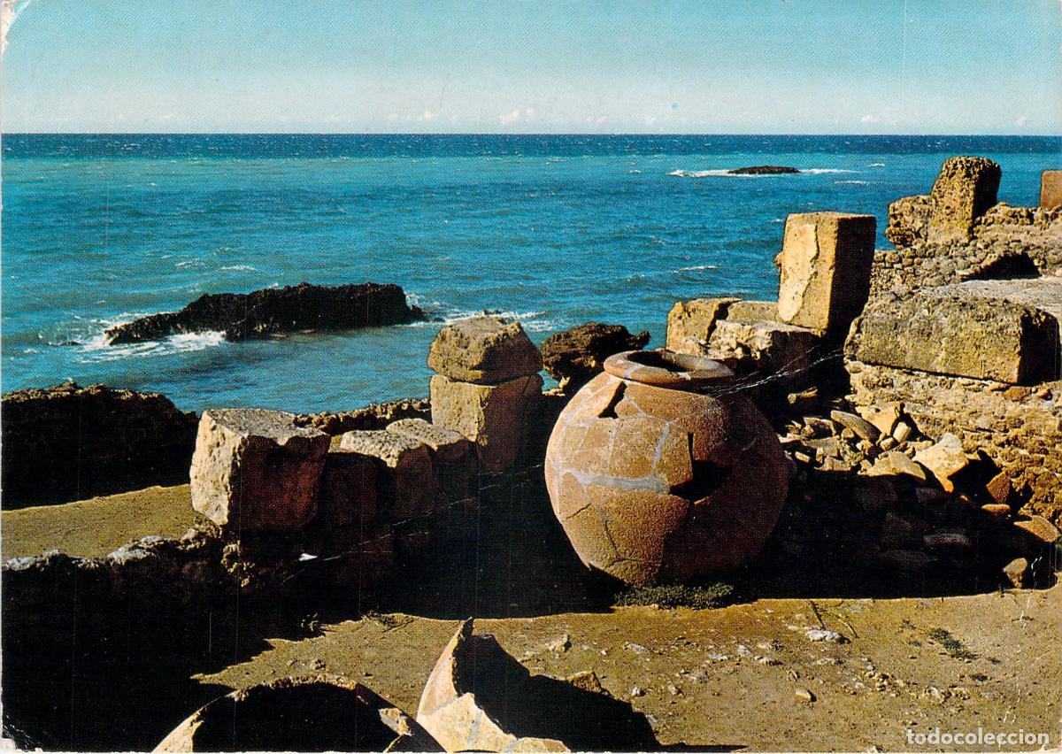 Postales: Postal de las ruinas romanas de Tipaza en Argelia junto al mar