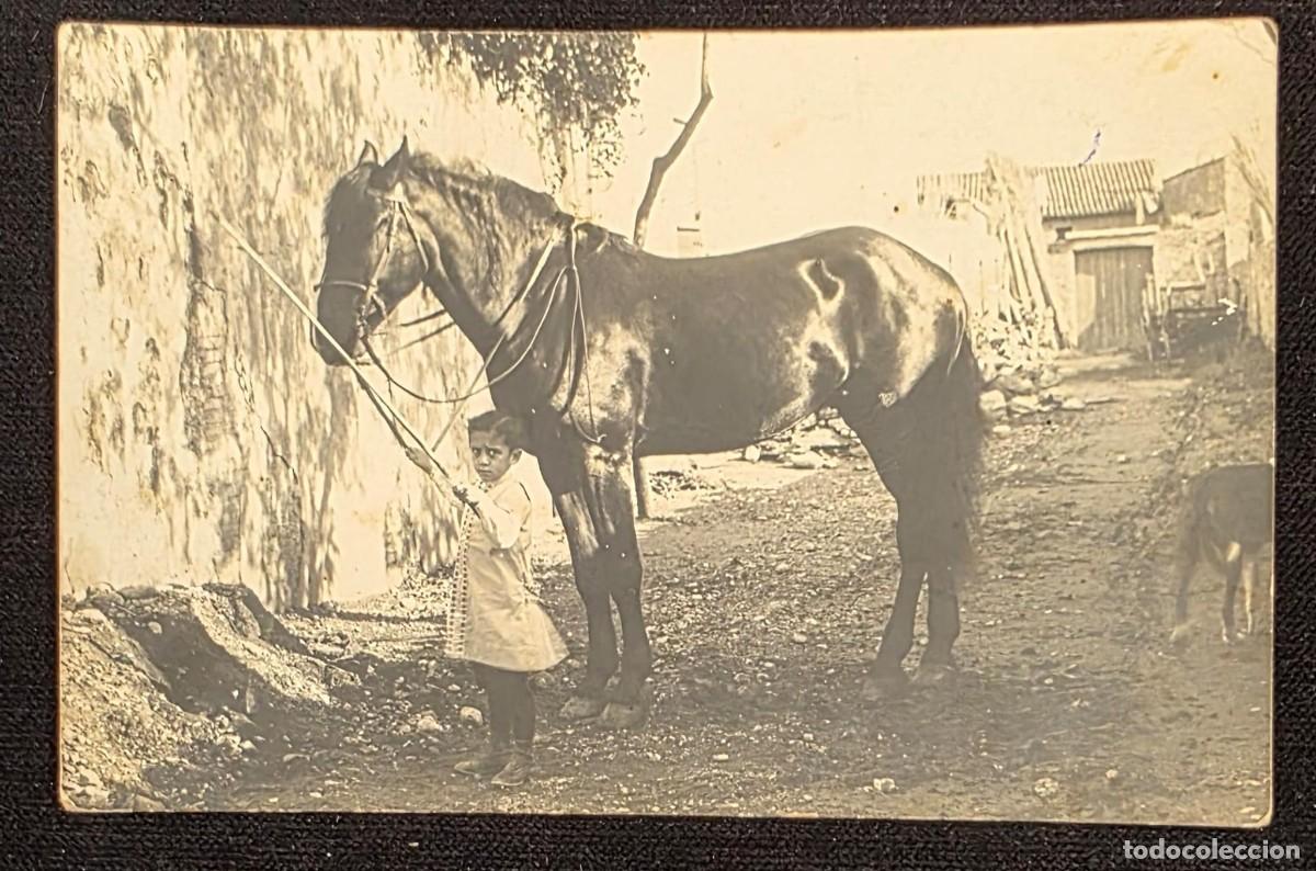 Postales: P.1114 Postal Fotogr&aacute;fica Antigua Ni&ntilde;o con Caballo de Tiro &ndash; Escena Rural Costumbrista