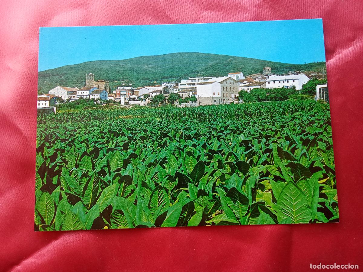 Postales: Postal Jaraix de la vera (C&aacute;ceres) P.1953