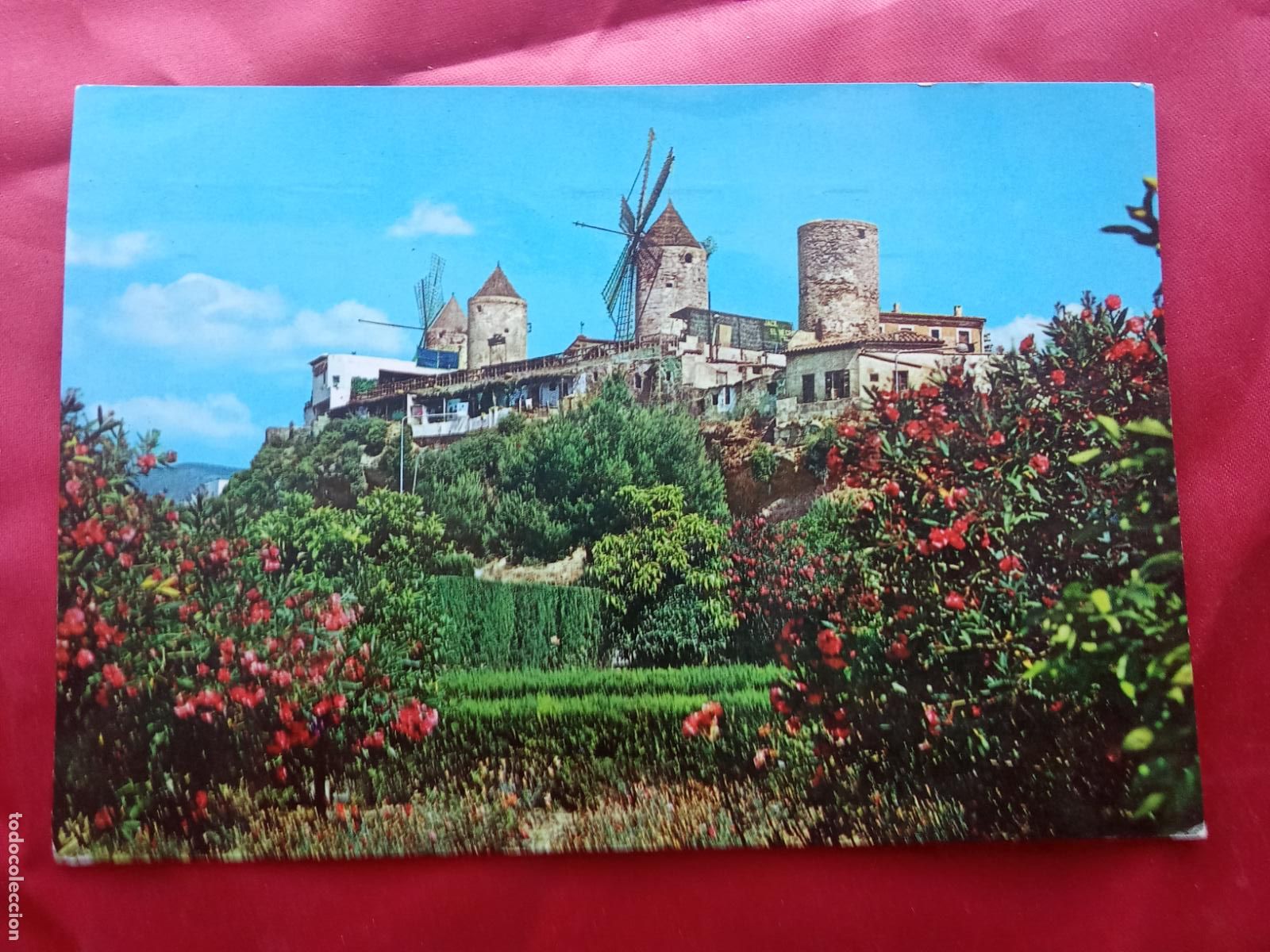 Postales: Postal Mallorca (Baleares) molinos de Jonquet P.2023