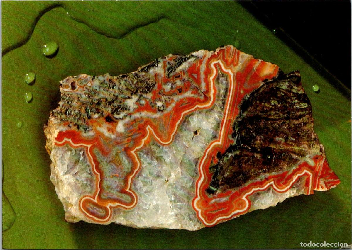 Postales: Minerales - &Aacute;gata - Postal Checa - 147x104mm