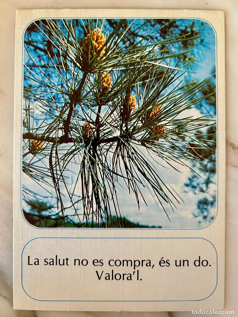 Postales: POSTAL - LA SALUT NO ES COMPRA - &Eacute;S UN DO - VALORA'L - ESCUDO DE ORO 1979 SIN ESCRIBIR SIN CIRCULAR
