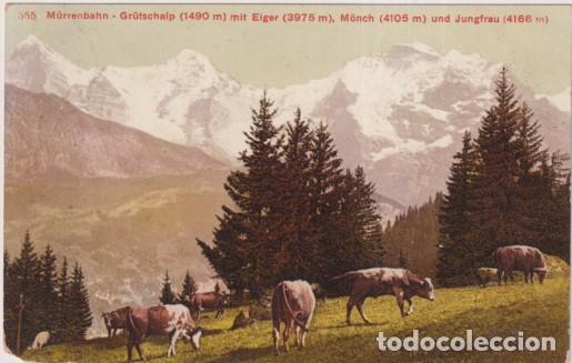Postales: Suiza. Picos desde Murrenbahn a JUngfrau. Franqueado y fechado en Berna: 22-VII. 09