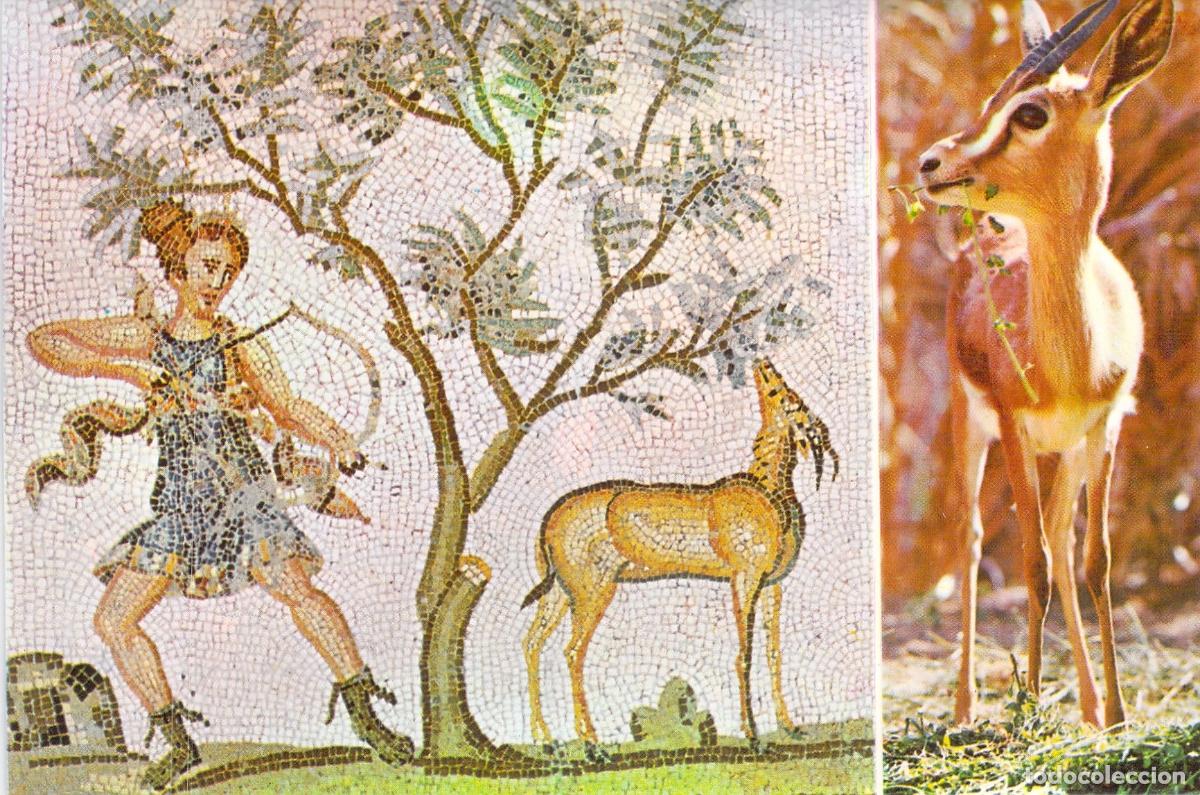 Postales: Postal de Mosaico del Bardo y Gacela del Sahara, T&uacute;nez