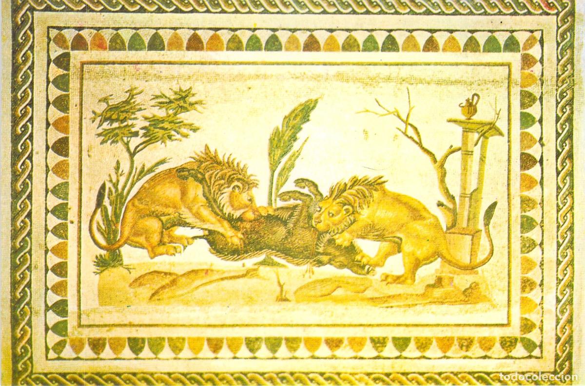 Postales: Postal del Mosaico de Leones Devorando un Jabal&iacute; en el Museo de El Jem