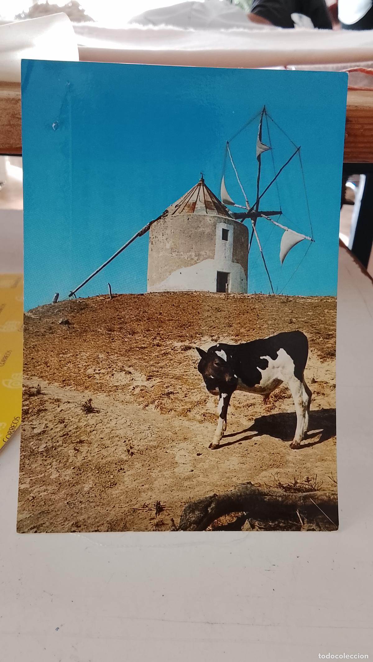 Postales: postal vejer de la frontera cadiz