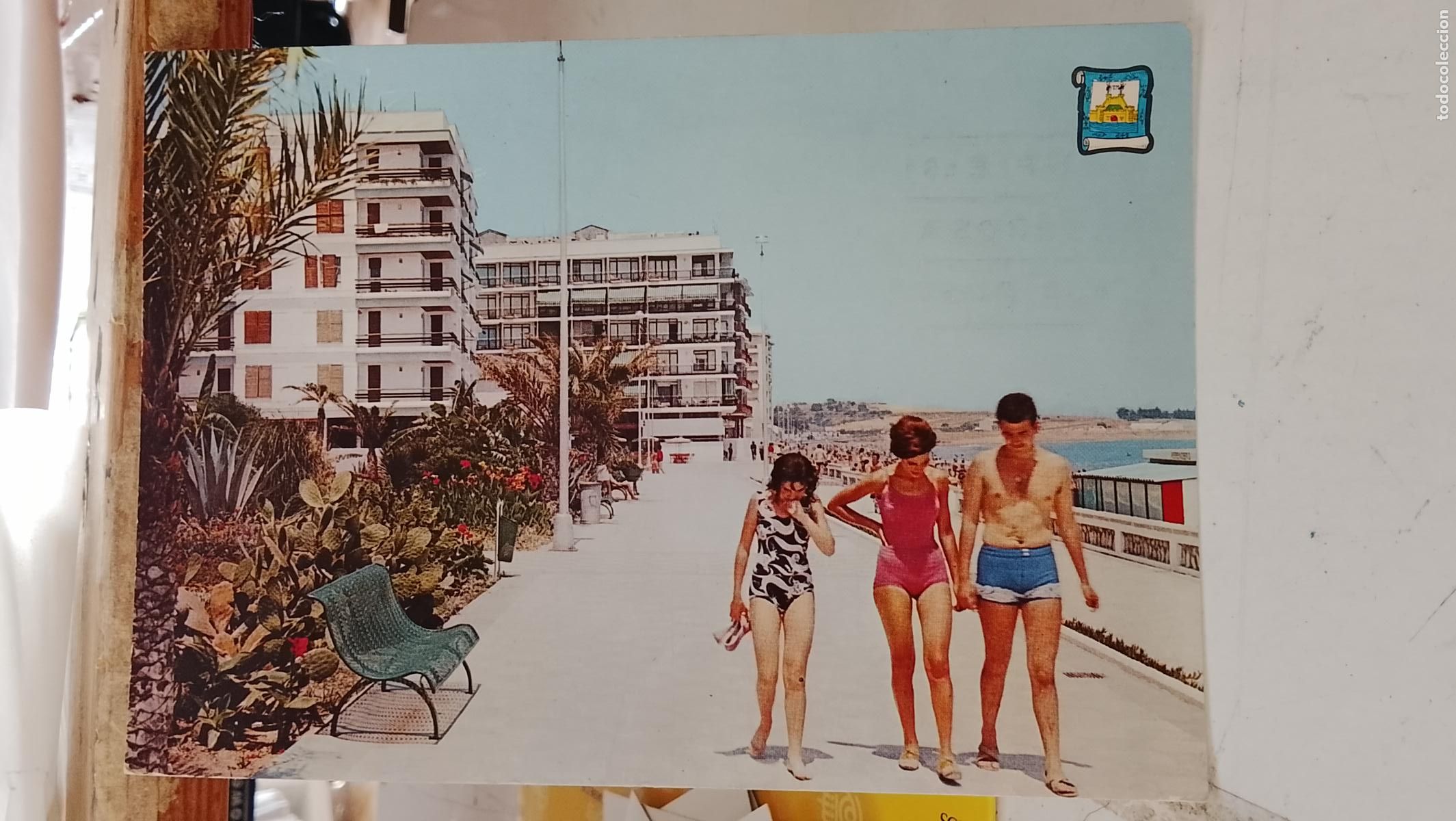 Postales: TARJETA POSTAL ESTEPONA MALAGA