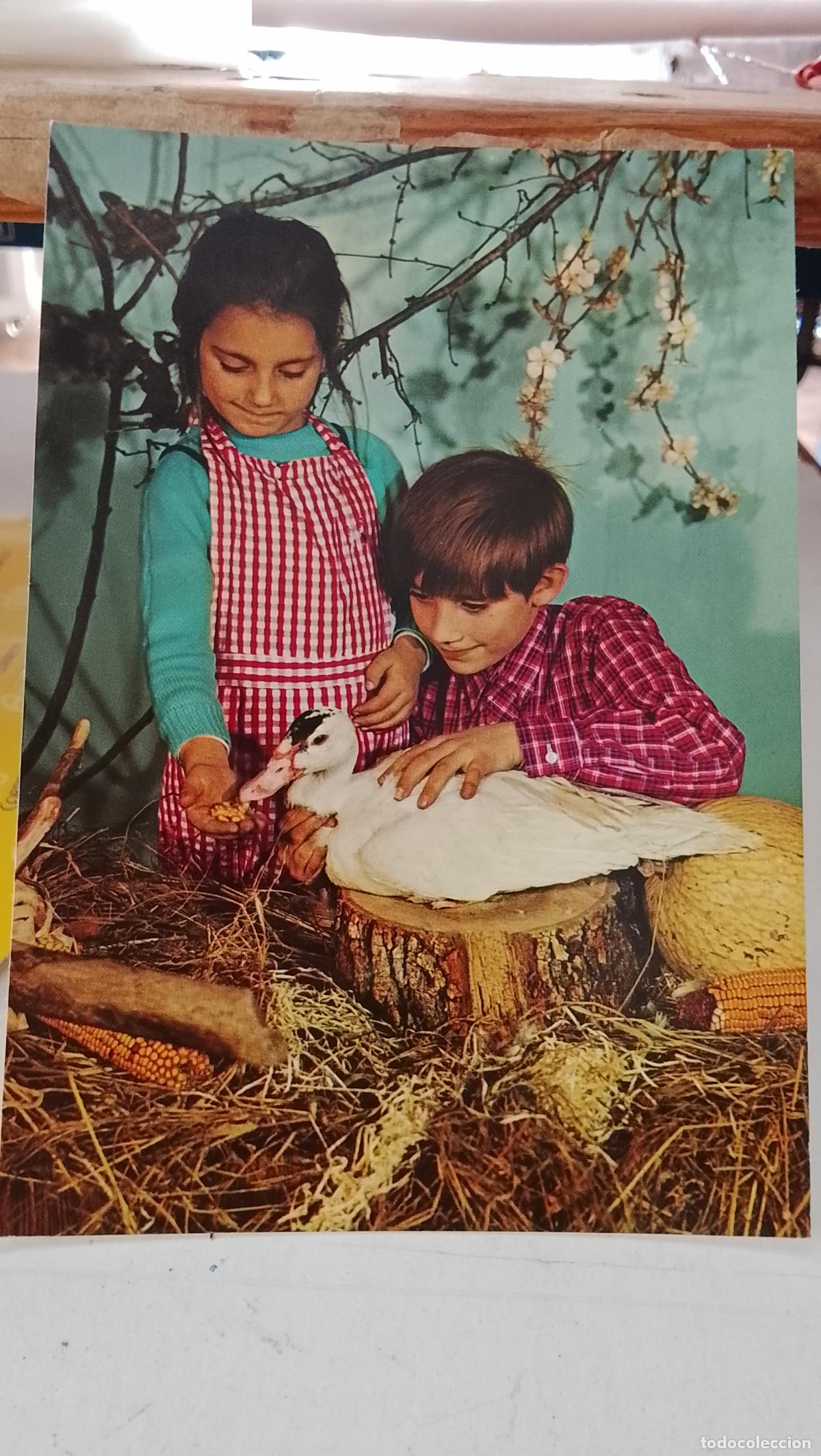 Postales: TARJETA POSTAL ANTIGUA NI&Ntilde;OS CON UN PATO