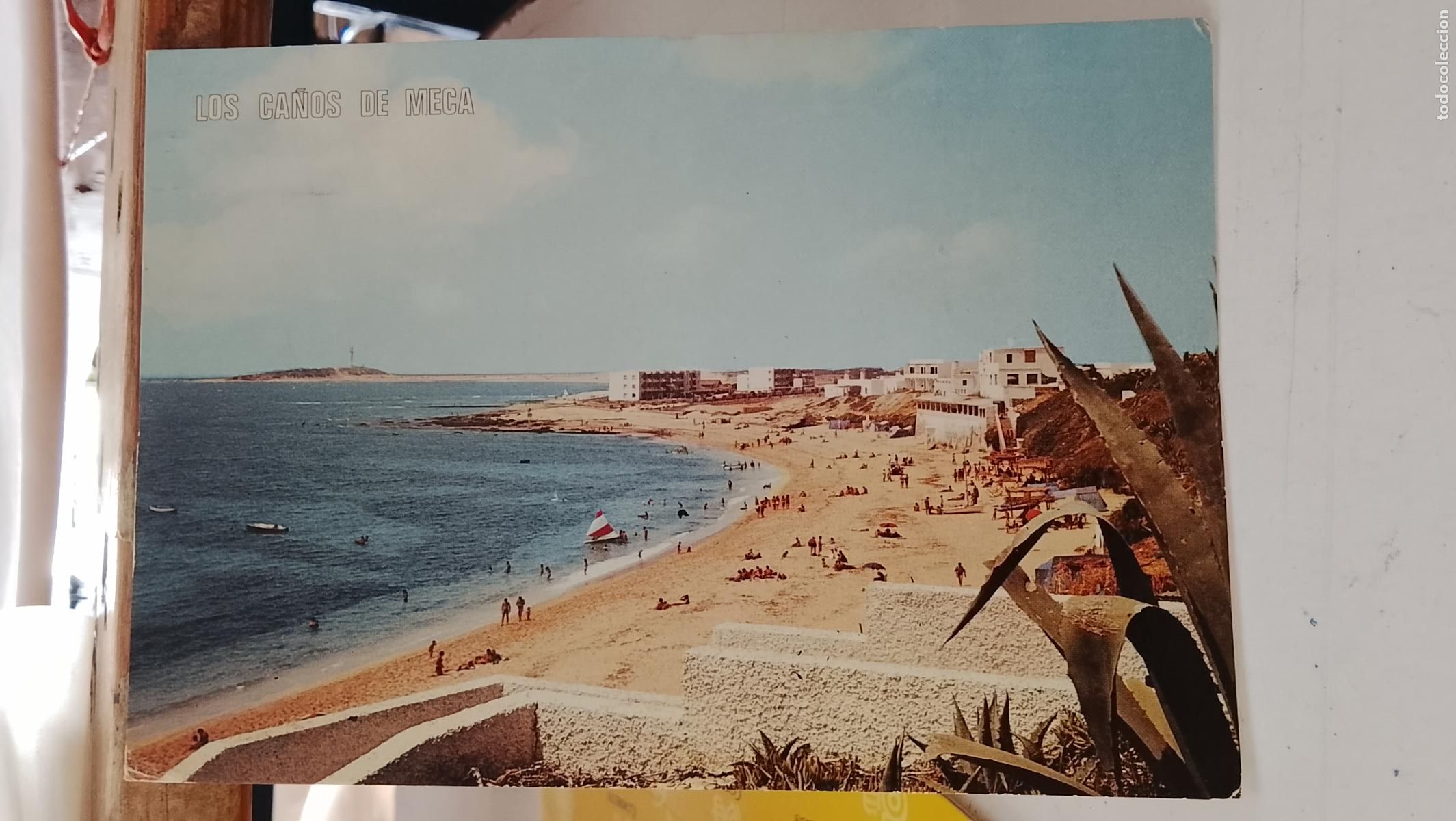 Postales: TARJETA POSTAL ANTIGUA LOS CA&Ntilde;OS DE MECA CADIZ TRAFALGAR