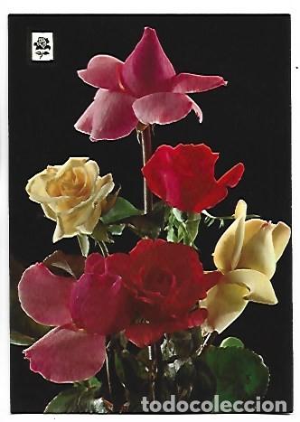 Postales: RAMO DE ROSAS MULTICOLOR