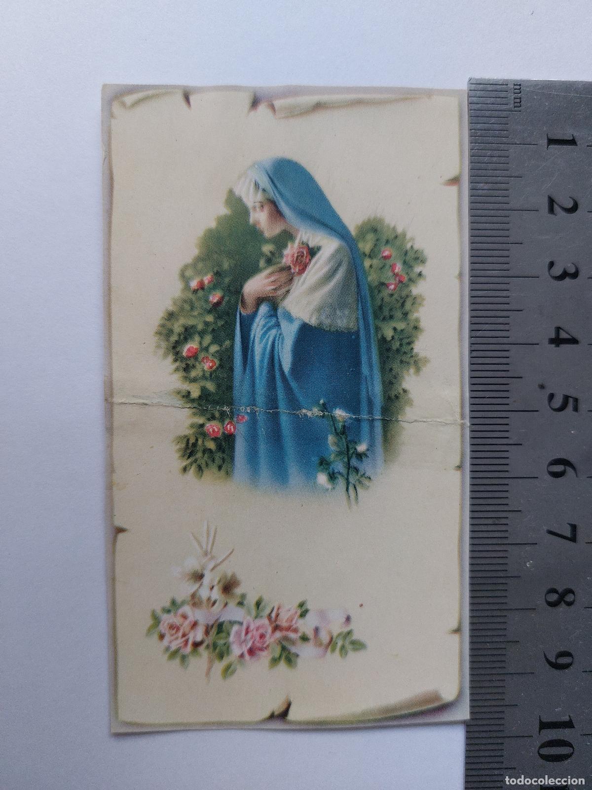 Postales: Estampa de la Virgen Mar&iacute;a con Rosas en Estilo Ilustrado