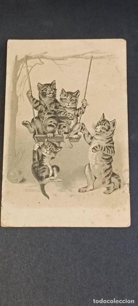 Postales: Antigua tarjeta postal de &eacute;poca (Belle &Eacute;poque - Circa 1900-1910) - Ilustraci&oacute;n gatuna / Gatitos juga
