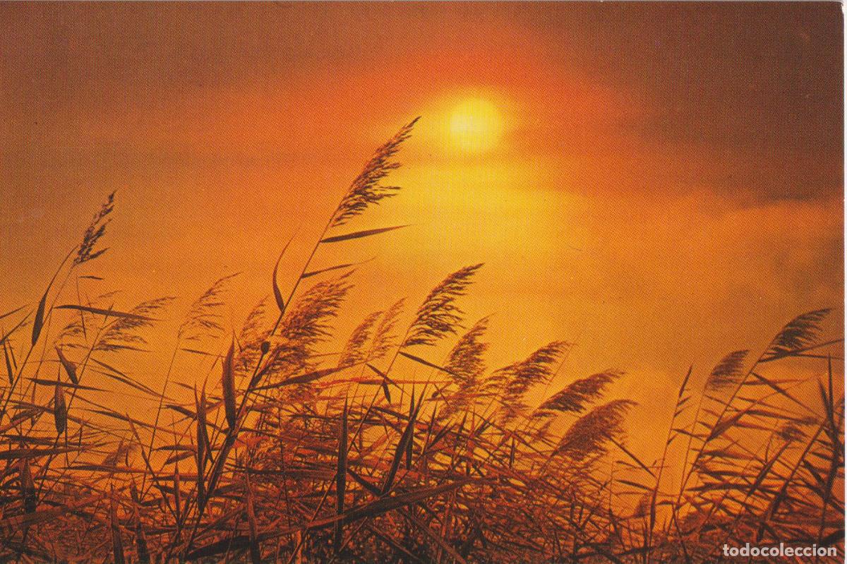 Postales: POSTAL PUESTA DE SOL &ndash; EDITA CyZ 7857/C &ndash; S/C