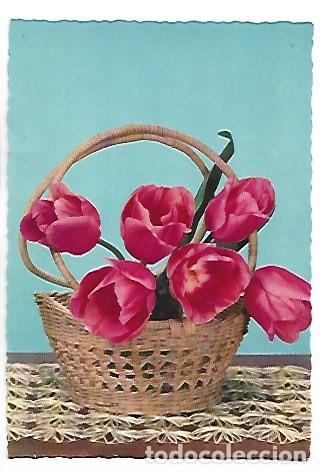 Postales: CANASTILLA CON TULIPANES