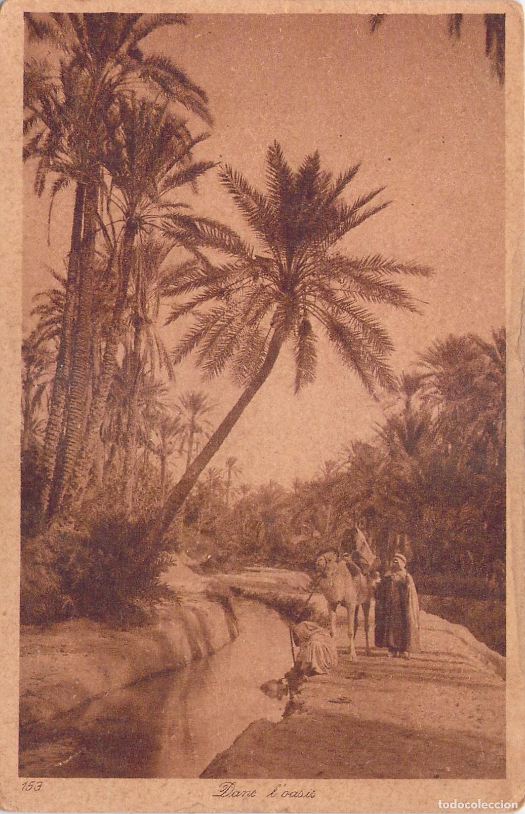 Postales: Postal de un Oasis con Palmeras y Camello en el Norte de &Aacute;frica