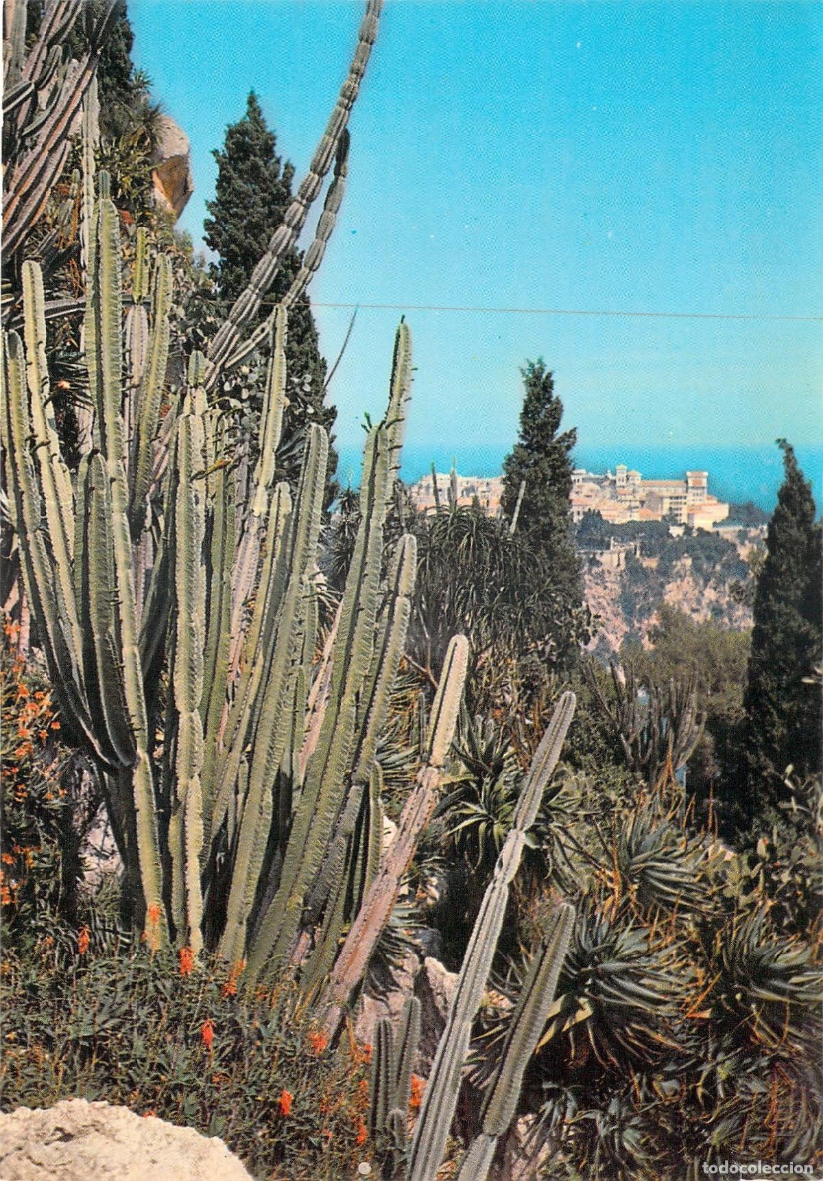 Postales: Postal de M&oacute;naco Jardin Exotique y Vistas al Rocher