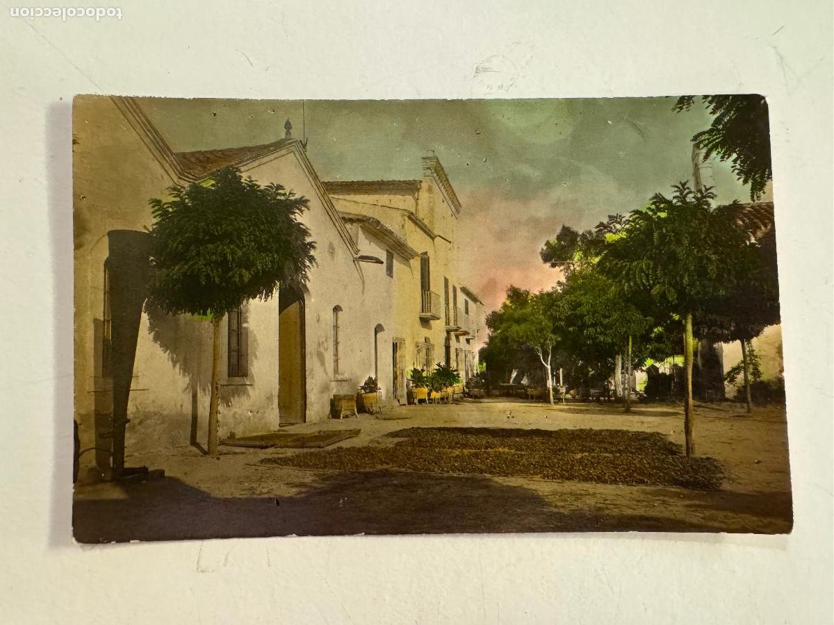 Postales: LUGAR SIN IDENTIFICAR - FOTOGRAFICA - POSTAL ANTIGUA -(116.297)