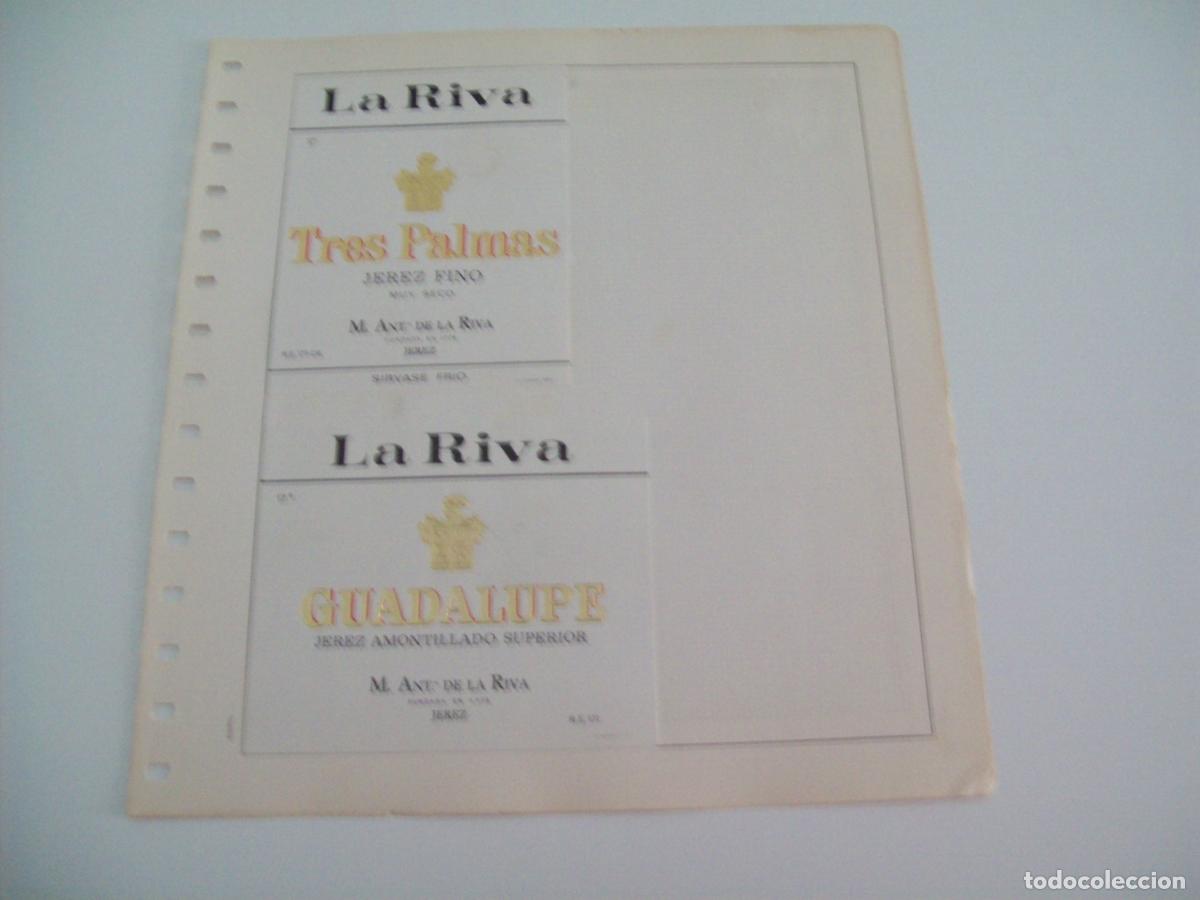 Postales: ETIQUETA LICOR 2317: Tres Palmas y Guadalupe de Antonio de la Riva - Varios