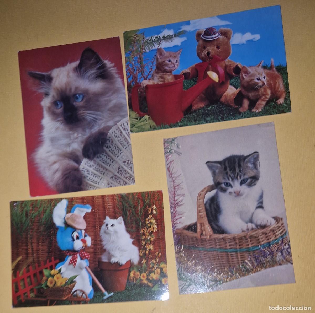 Postales: TARJETAS POSTALES DE GATOS