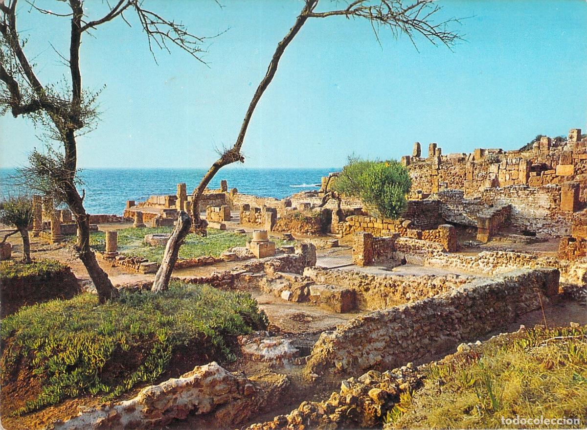 Postales: Postal de las Ruinas Romanas en Tipaza, Argelia