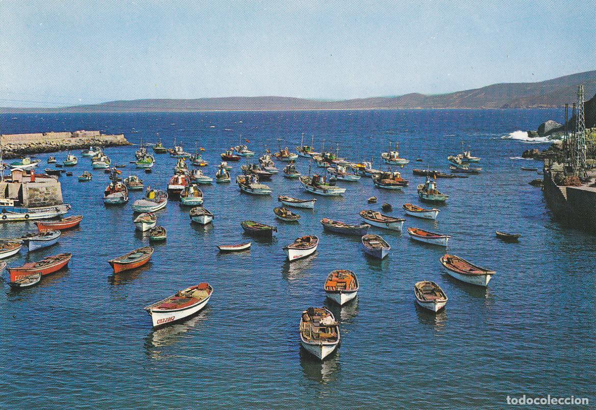 Postales: Postal 61137 : Malpica (La Coru&ntilde;a). Port - Varios