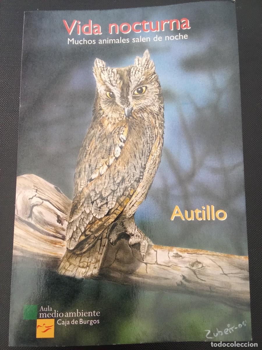 Postales: Postal autillo &rdquo;Vida nocturna&rdquo; Aula medioambiente Caja de Burgos